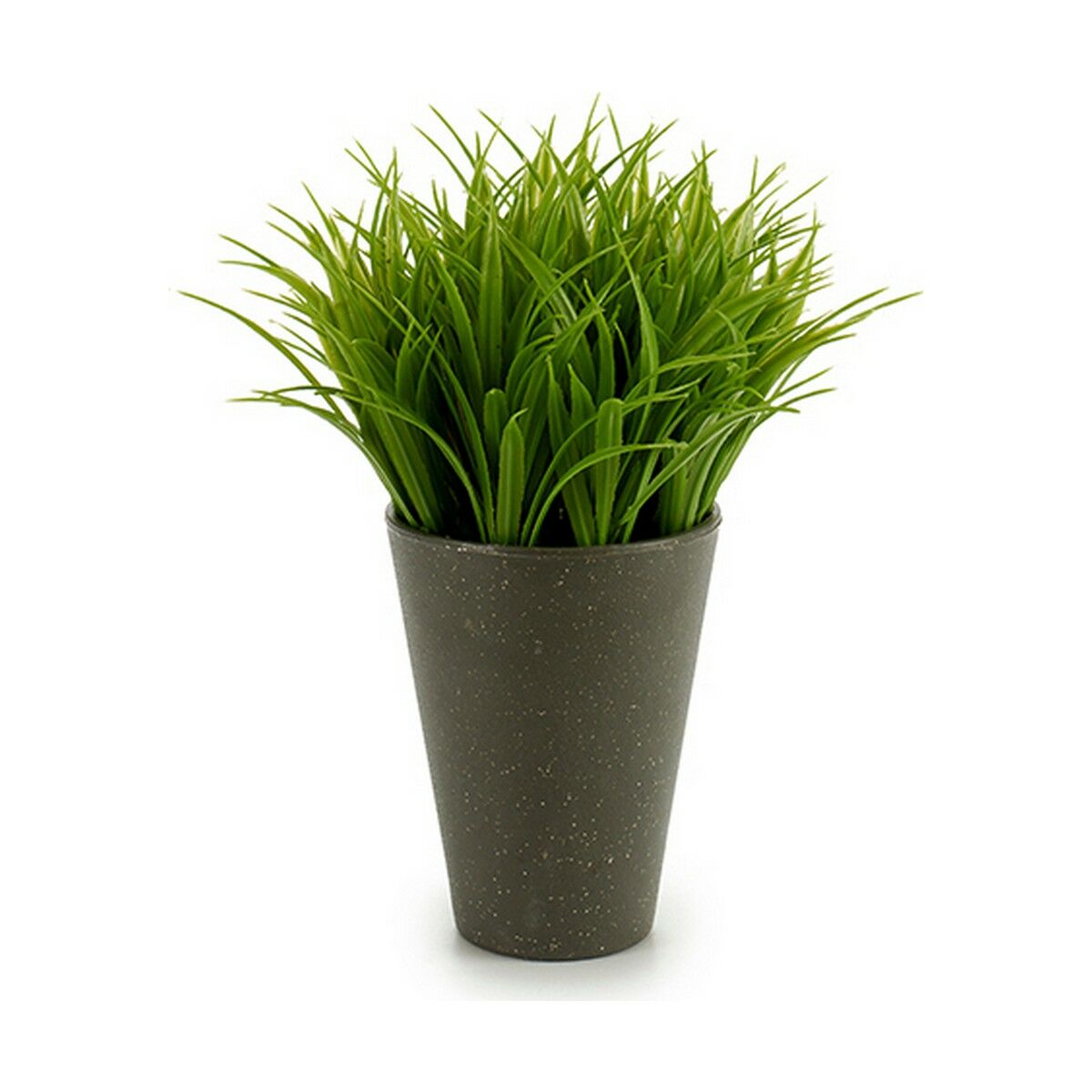 Dekorativ växt Ibergarden Plast 11 x 18 x 11 cm (12 antal) - 2