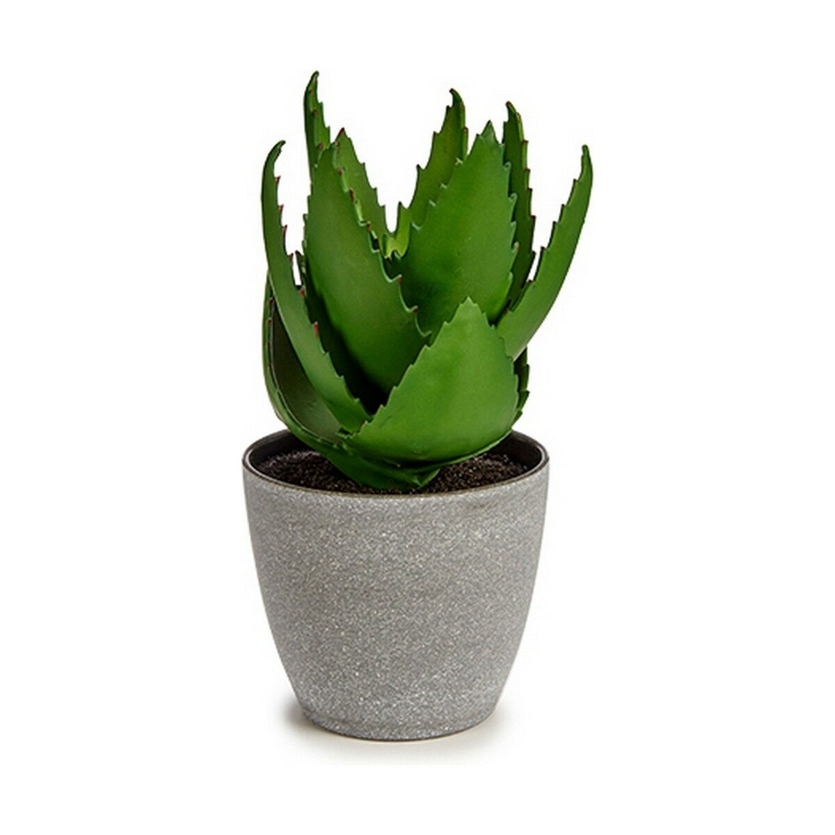 Dekorativ växt Ibergarden Plast Aloe Vera 15 x 23,5 x 15 cm (6 antal) - 4