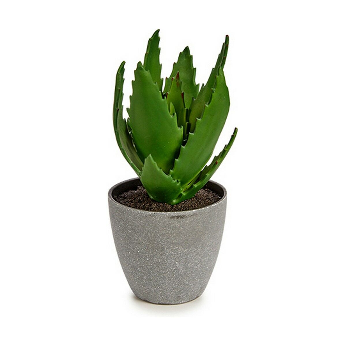 Dekorativ växt Aloe Vera 14 x 21 x 14 cm Grå Grön Plast (6 antal) - 2