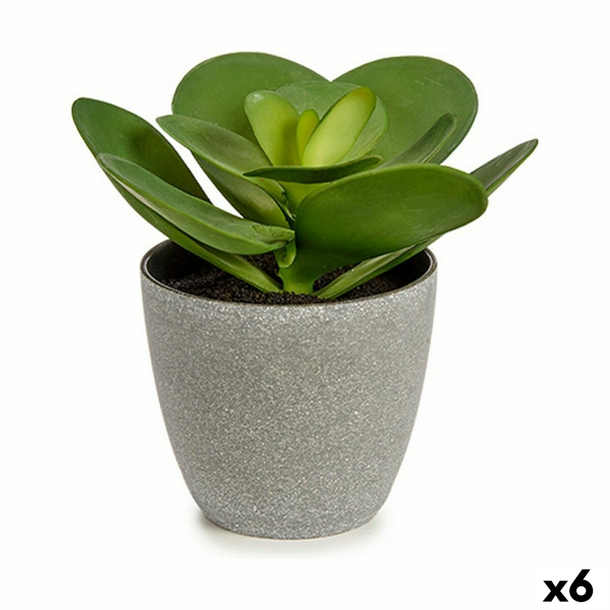 Dekorativ växt Ibergarden Plast 18 x 18,5 x 18 cm (6 antal) - 3