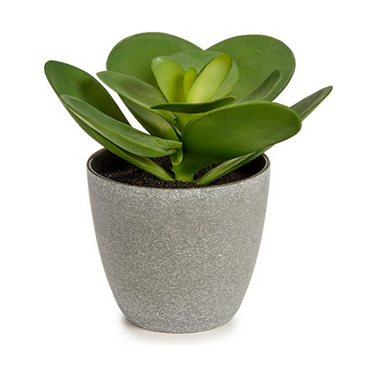 Dekorativ växt Ibergarden Plast 18 x 18,5 x 18 cm (6 antal) - 2