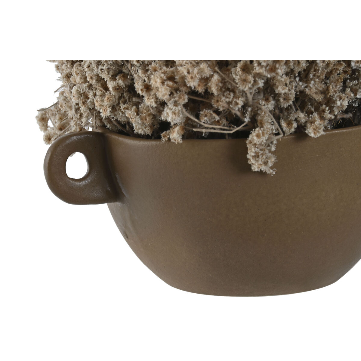 Dekorativ växt Home ESPRIT Blomster 22 x 22 x 14 cm (2 antal) - 3