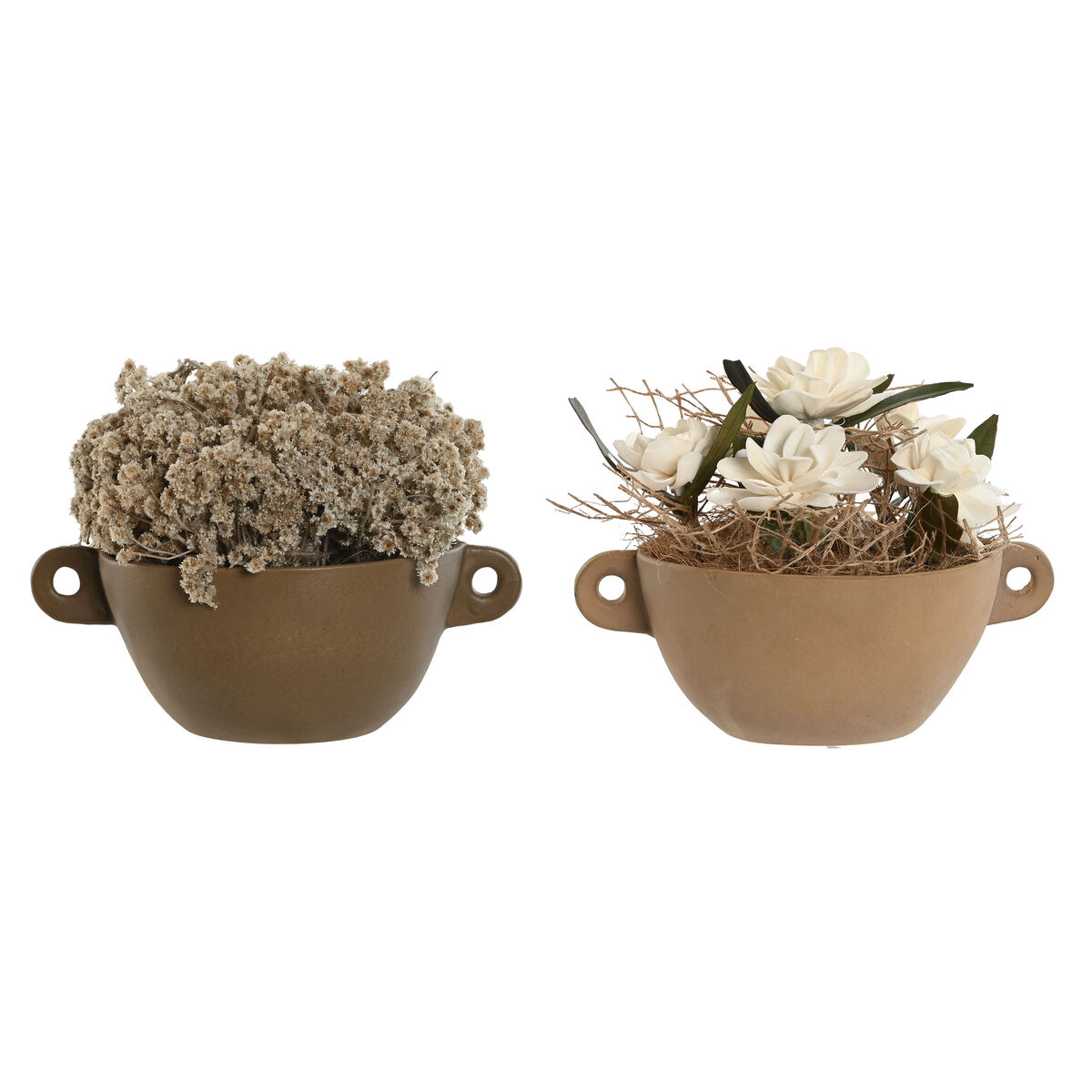 Dekorativ växt Home ESPRIT Blomster 22 x 22 x 14 cm (2 antal)