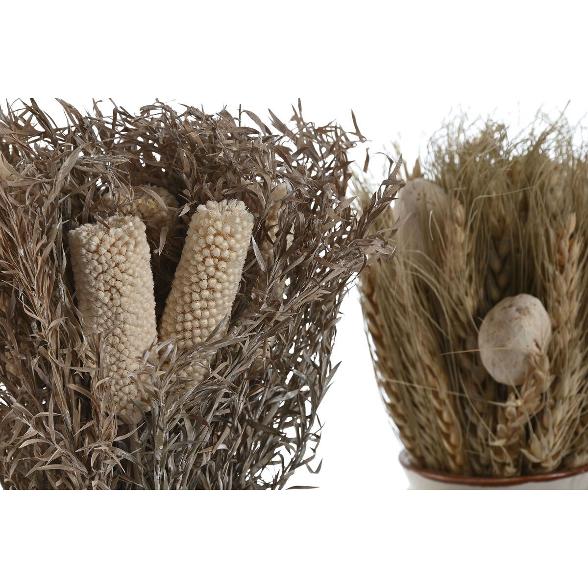 Dekorativ växt Home ESPRIT Blomster 13 x 13 x 25 cm (2 antal) (12 antal) - 2