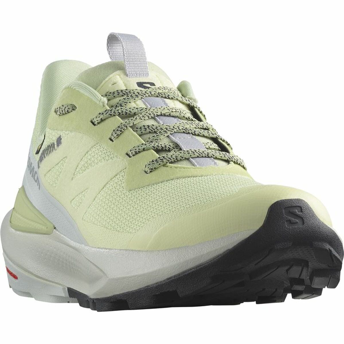 Löparskor, Vuxna Salomon Elixir Activ GORE-TEX® - 5