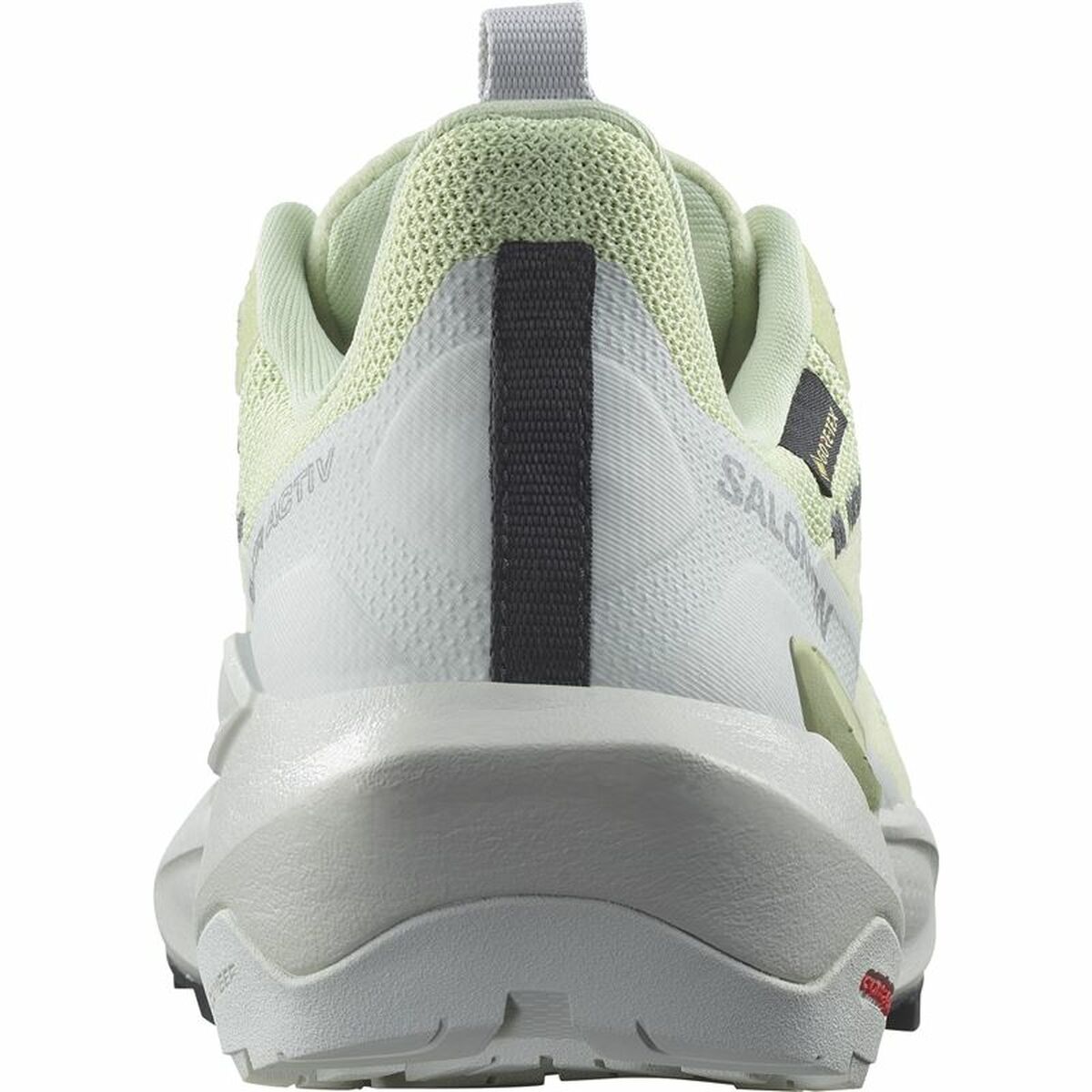 Löparskor, Vuxna Salomon Elixir Activ GORE-TEX® - 6