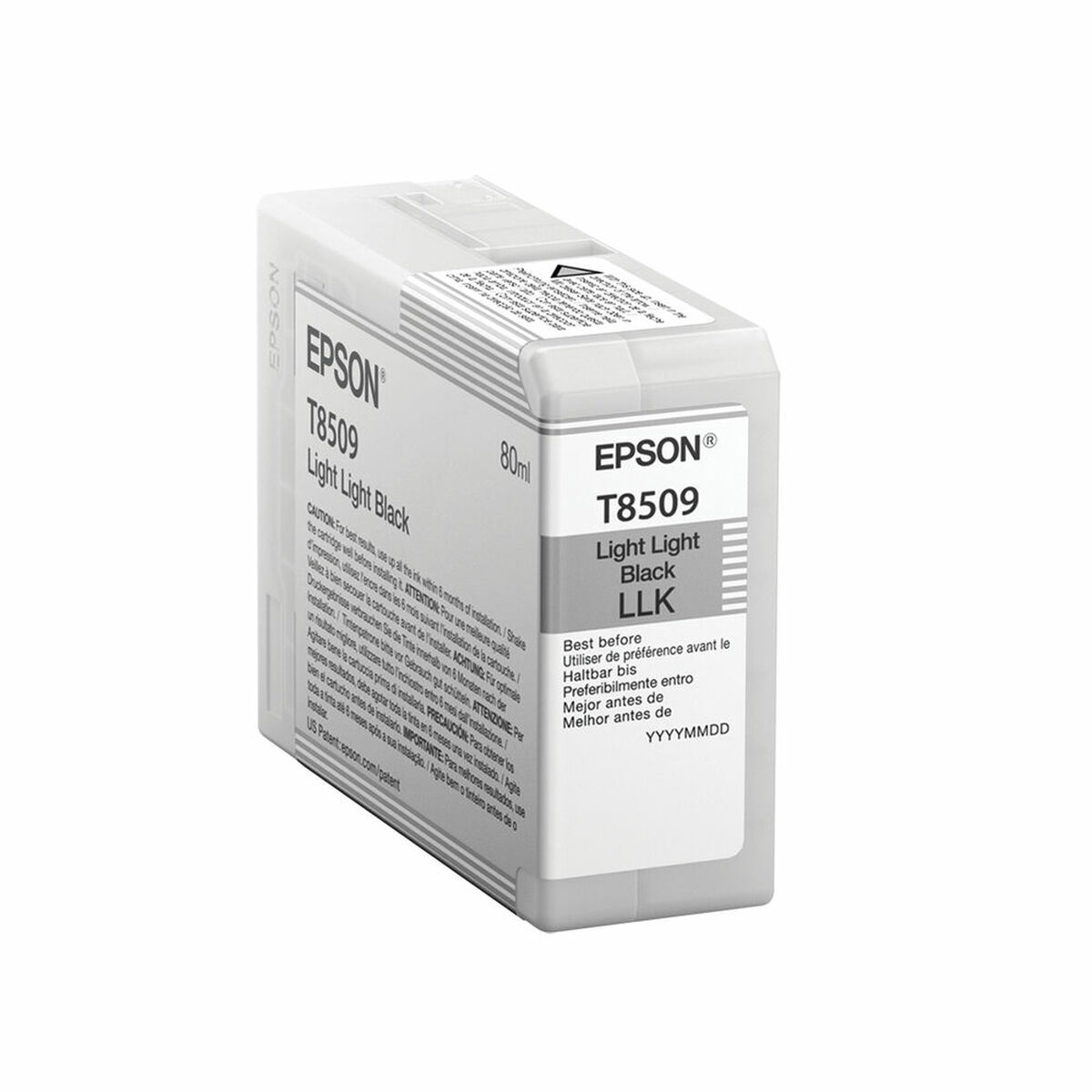 Original Bläckpatron Epson C13T850900 - 2