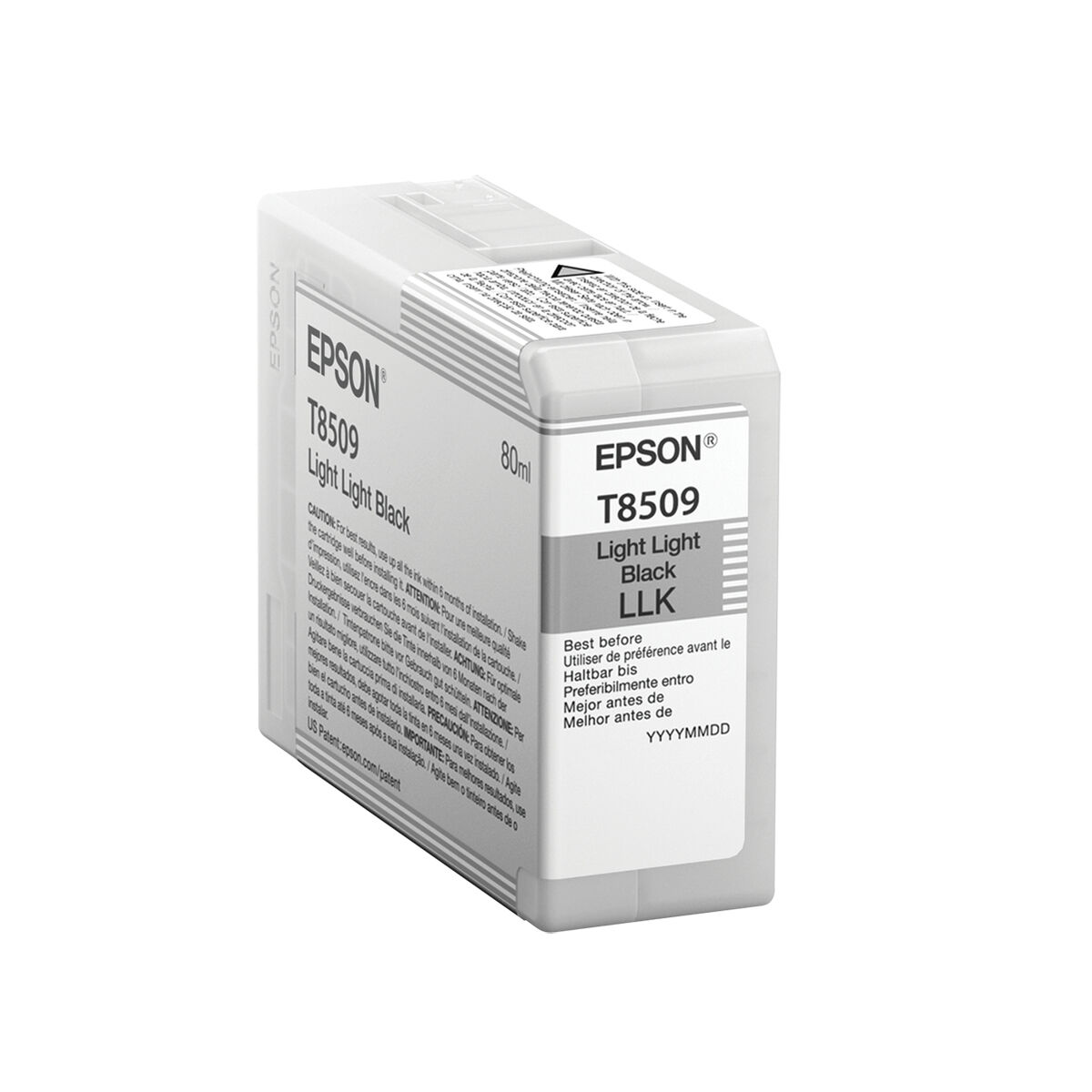 Original Bläckpatron Epson C13T850900