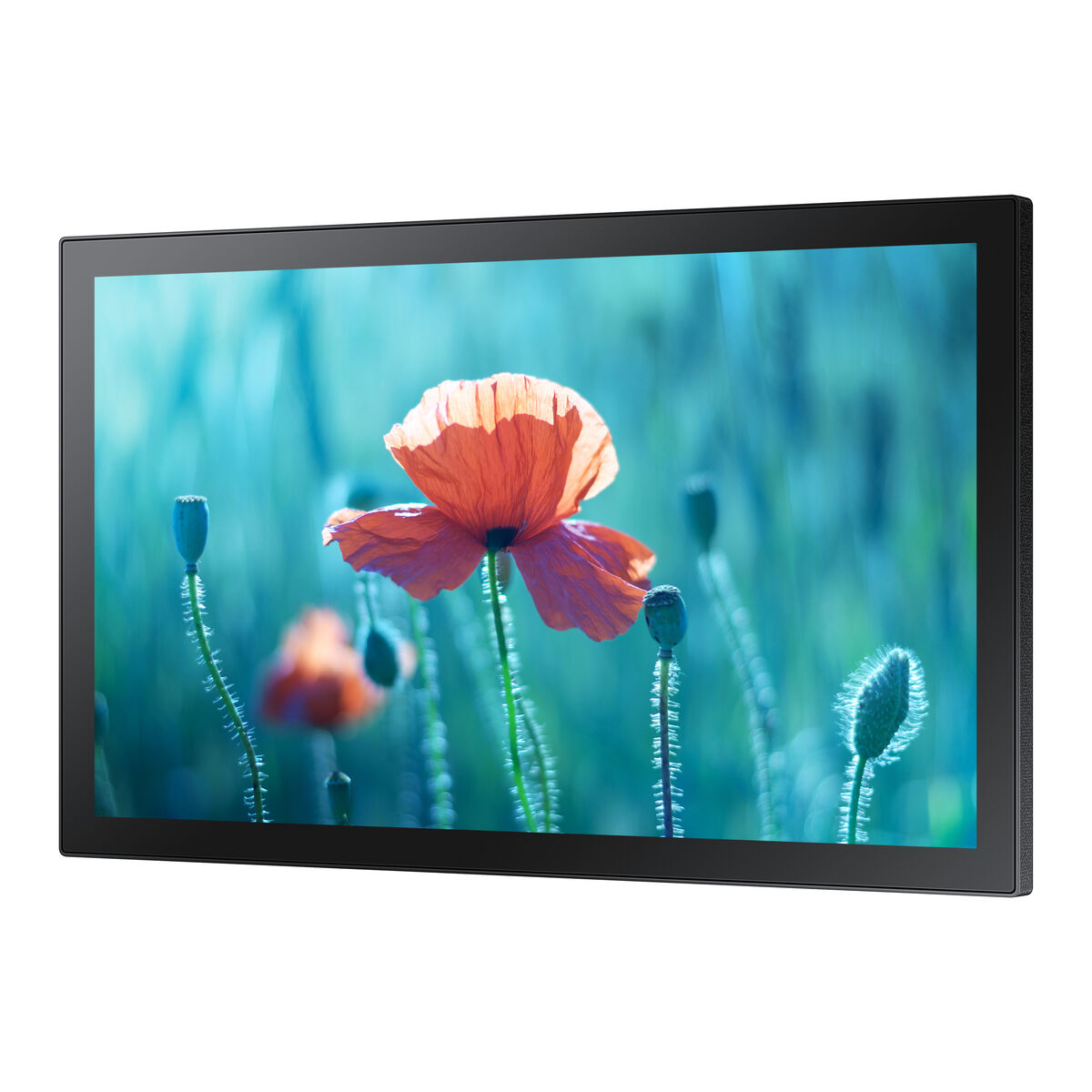 Videovägg Monitor Samsung LH13QBRTMGCXEN Full HD 13" 75 Hz