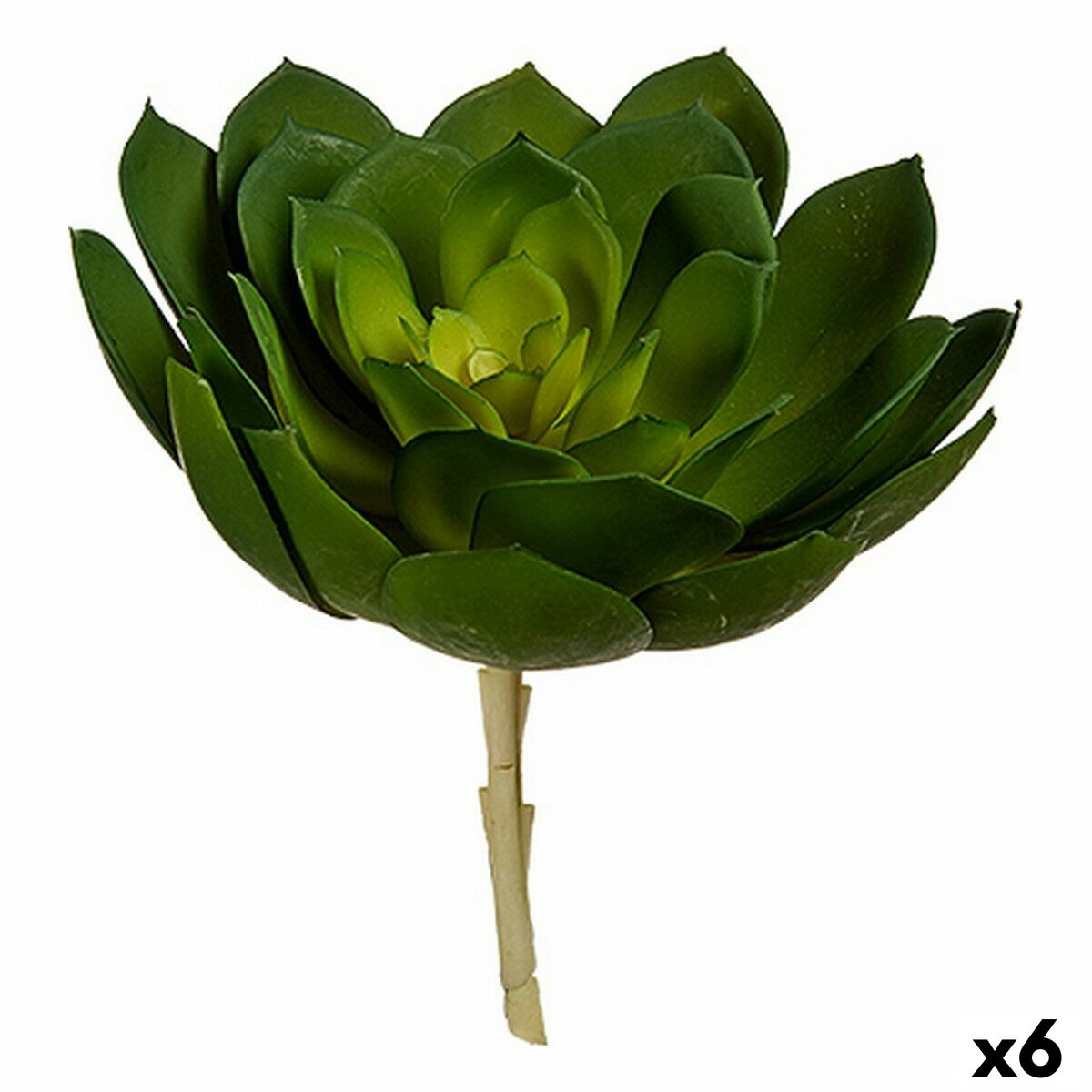 Dekorativ växt 22 x 19 x 19 cm Grön Plast (6 antal)