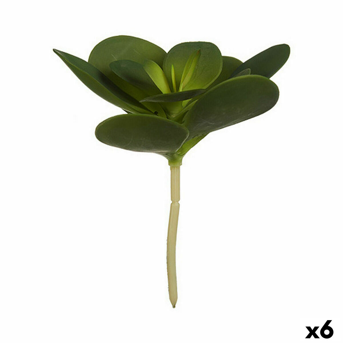 Dekorativ växt Ibergarden Plast Blad Rund 18 x 23 x 18 cm (6 antal) - 3
