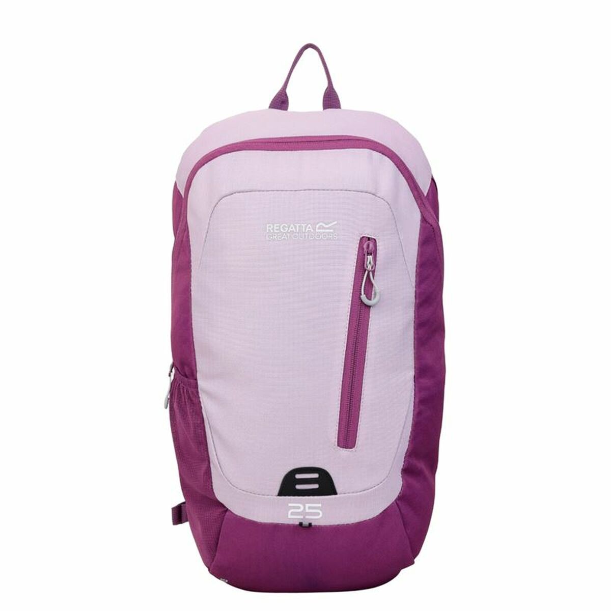 Vandringsryggsäck Regatta Highton V2 Violett Polyester