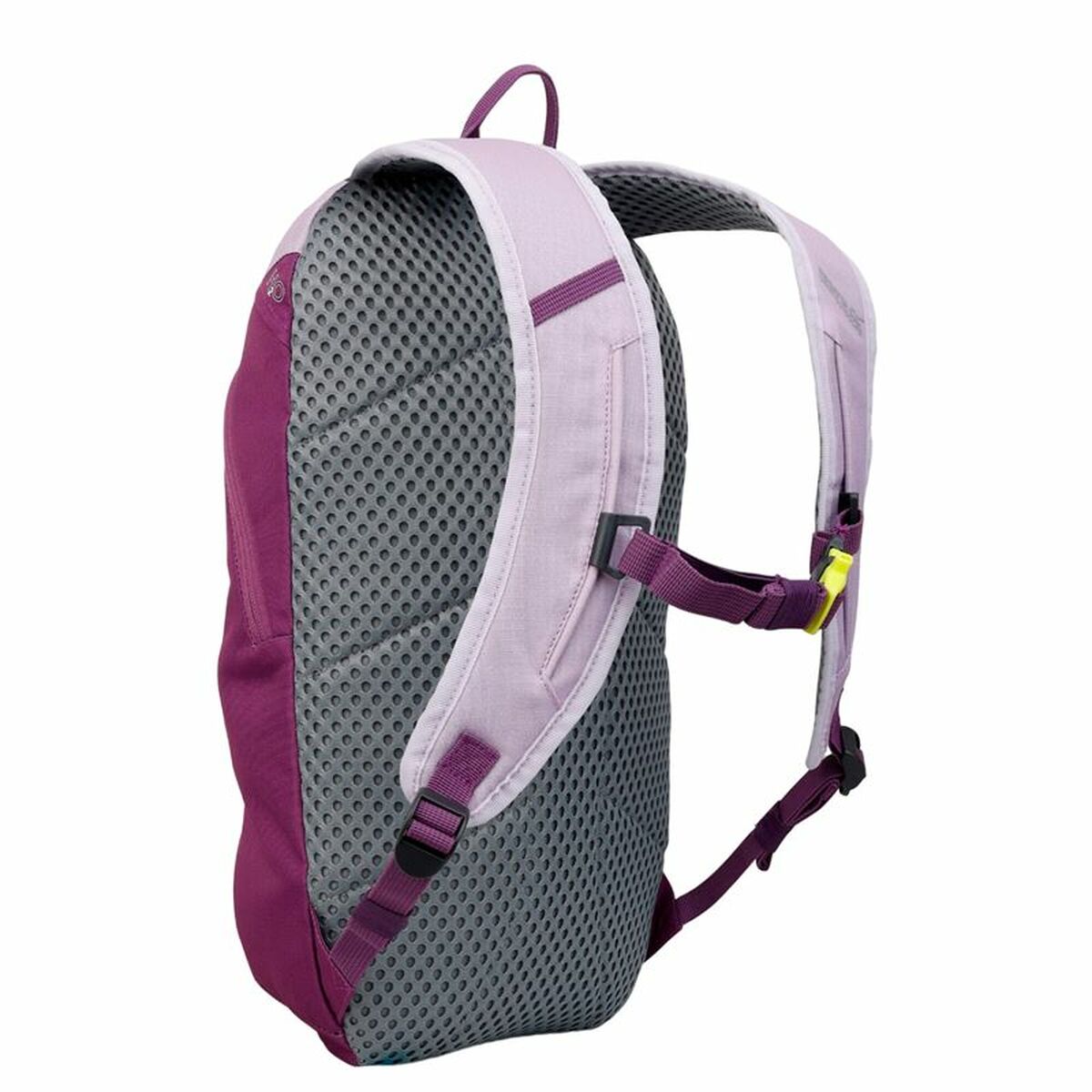 Vandringsryggsäck Regatta Highton V2 Violett Polyester - 2