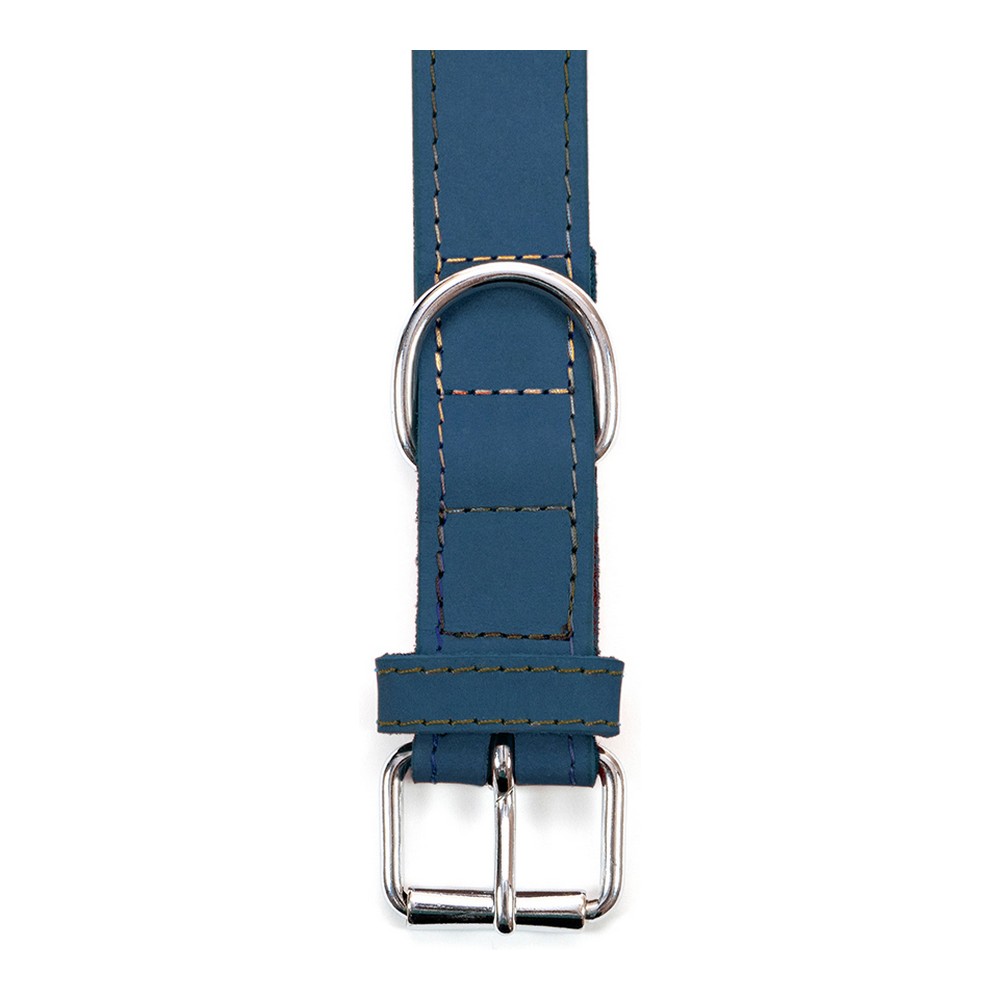 Hundhalsband Gloria Oasis Blå (1,2 x 35 cm) - 4