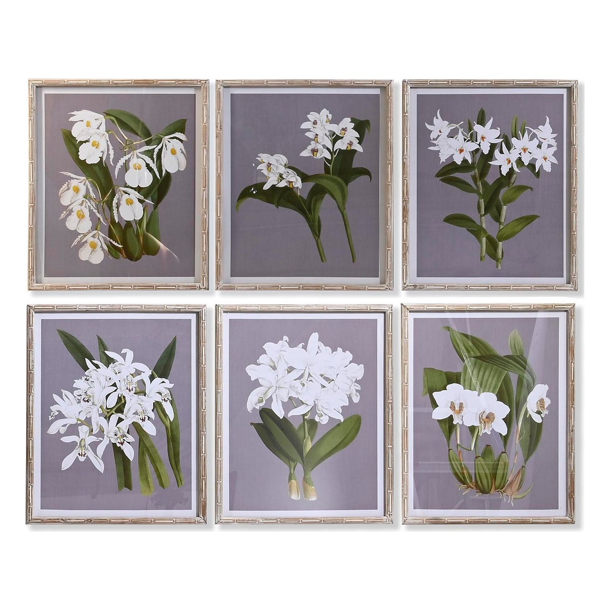 Tavla DKD Home Decor Glas Gran 50 x 60 x 2,8 cm 50 x 2,8 x 60 cm