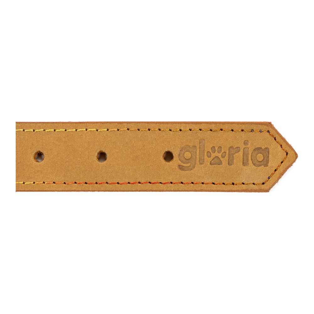 Hundhalsband Gloria Oasis Gul (1,5 x 40 cm) - 3