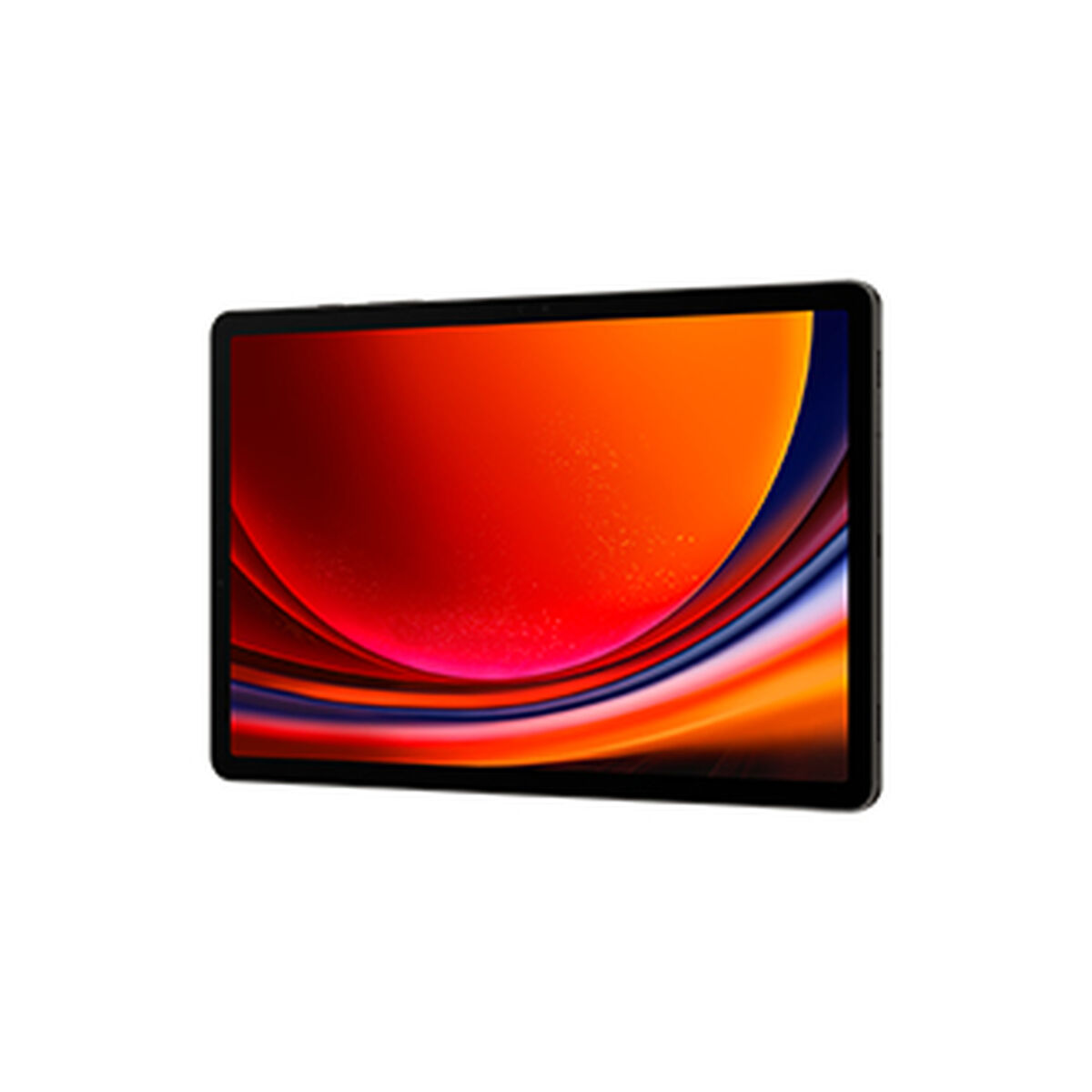 Läsplatta Samsung Galaxy Tab S9 12 GB RAM 11" 256 GB Grå - 3