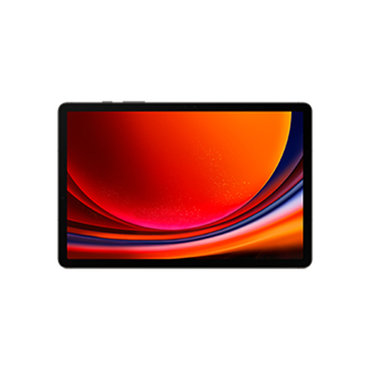 Läsplatta Samsung Galaxy Tab S9 12 GB RAM 11" 256 GB Grå - 5
