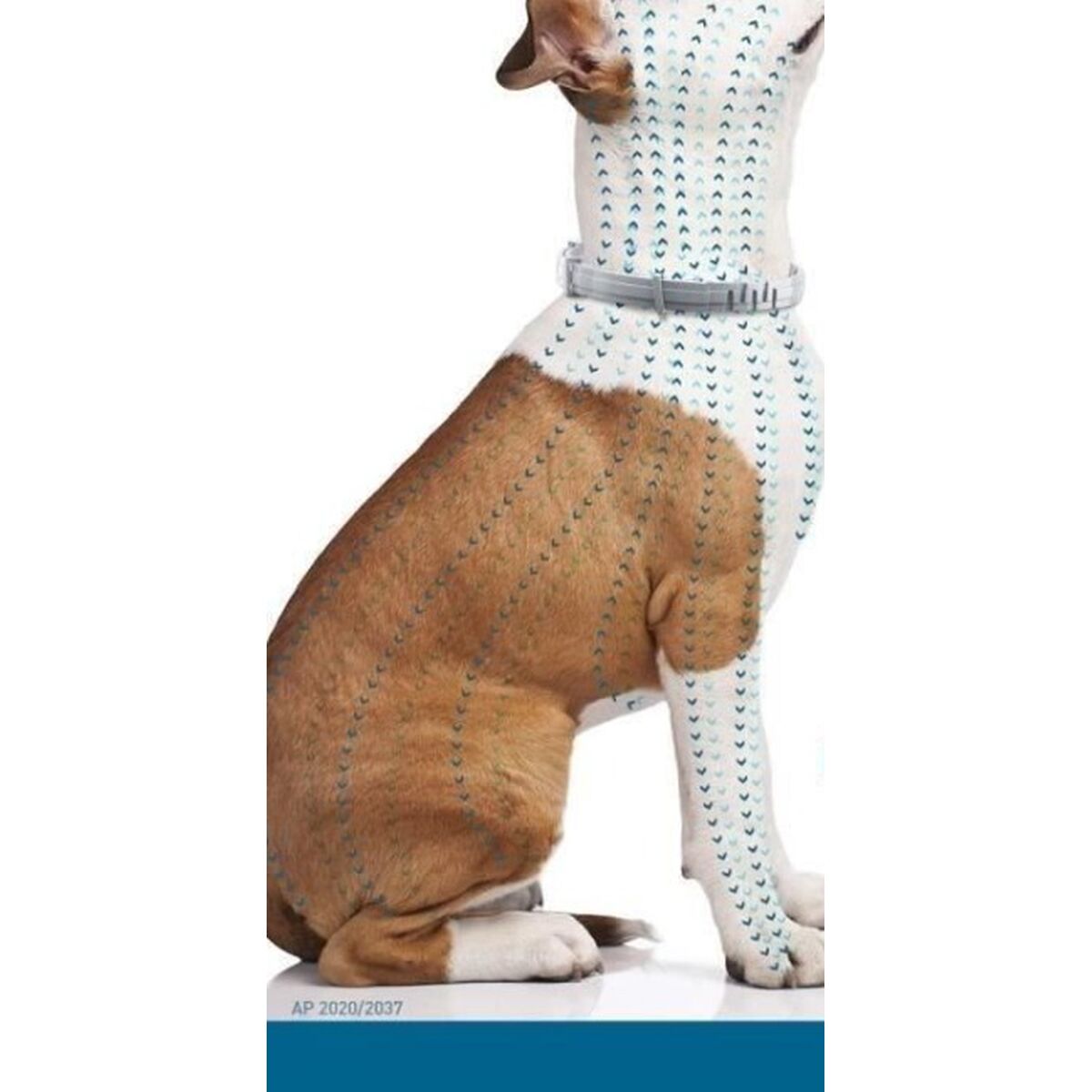 Anti-parasite collar Seresto 70 cm 2 antal - 5