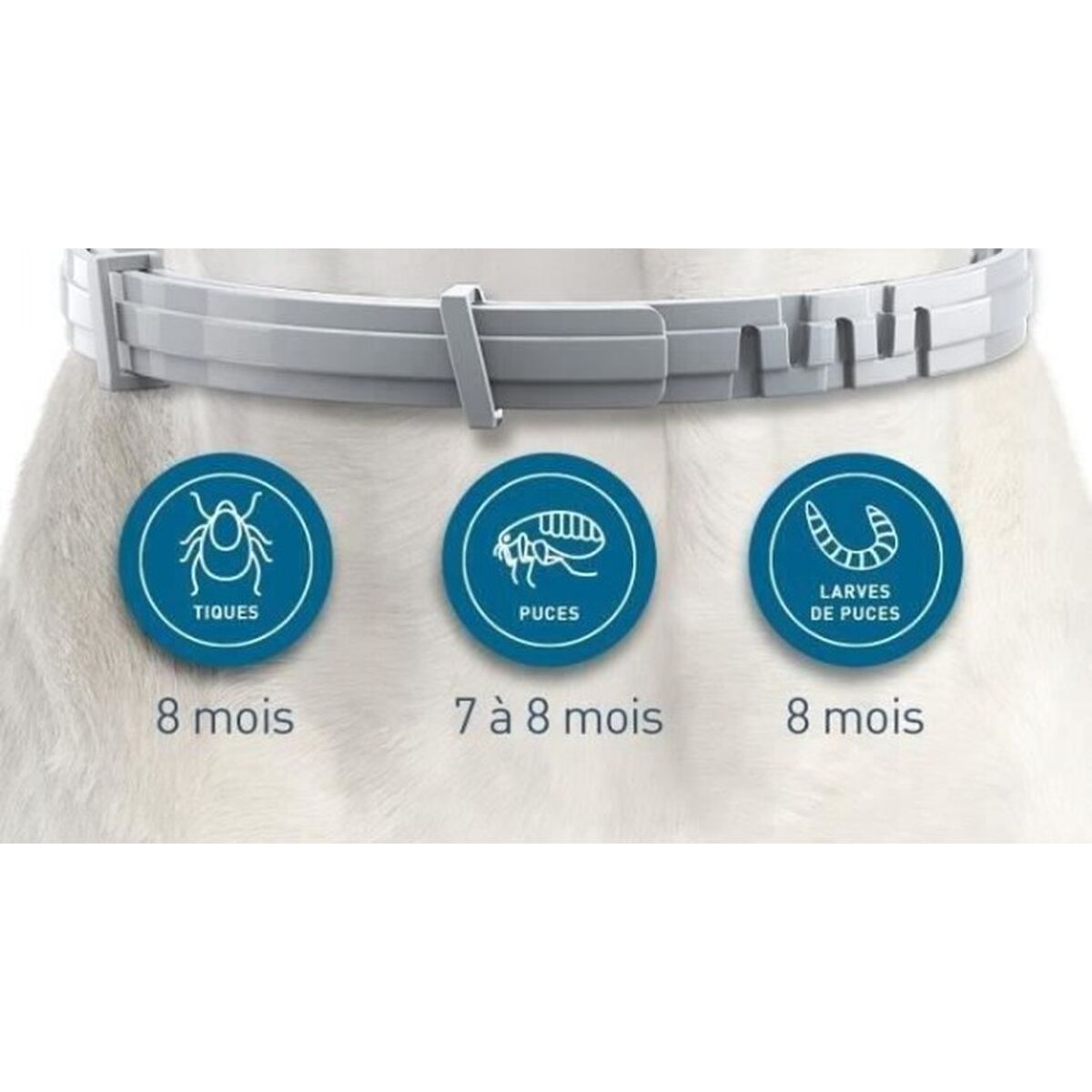 Anti-parasite collar Seresto 70 cm 2 antal - 4