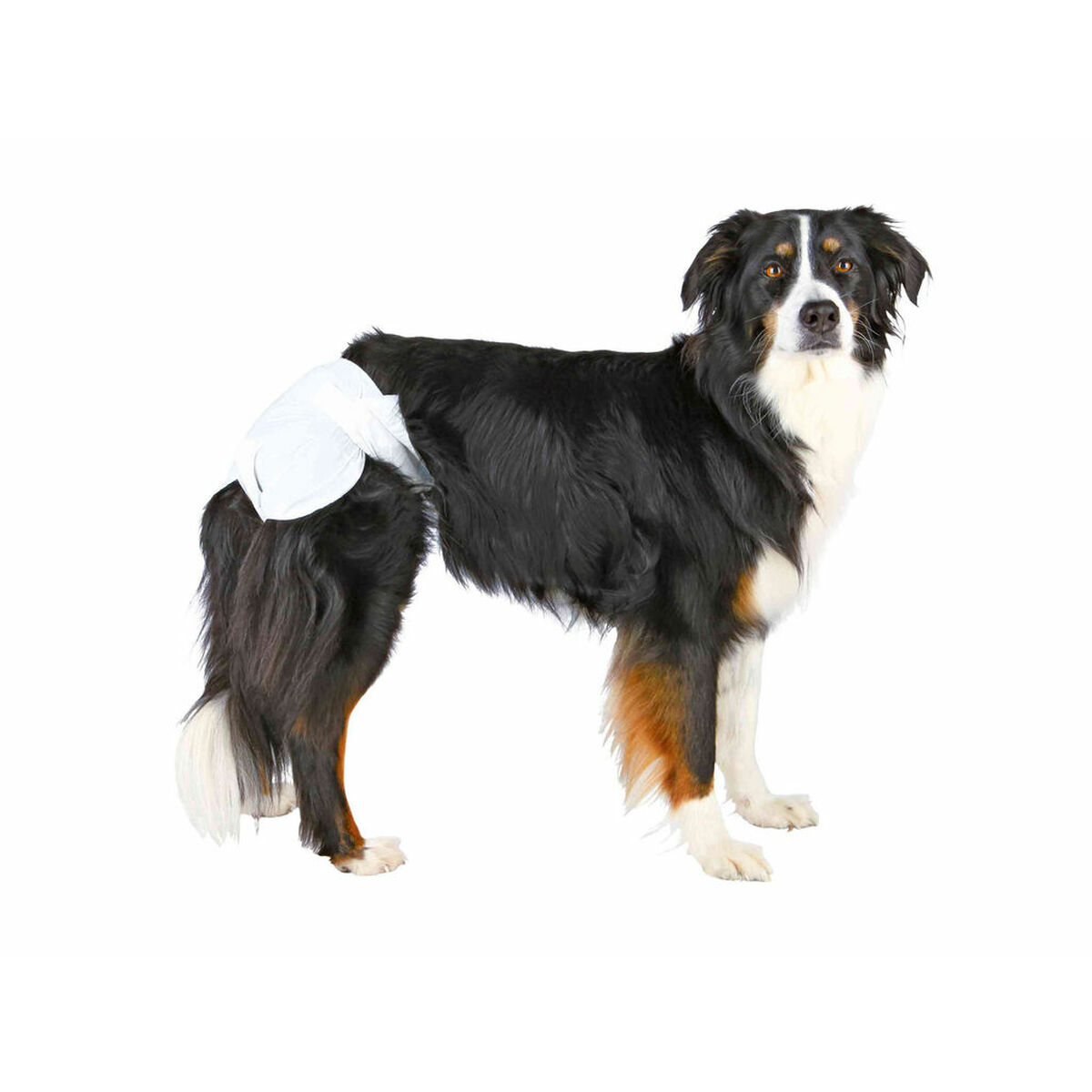 Blöjor Trixie TX-23636 XL - 3