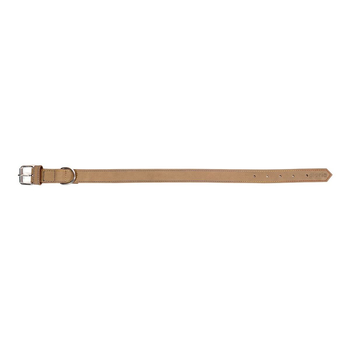 Hundhalsband Gloria Oasis Vit (1,5 x 40 cm) - 11