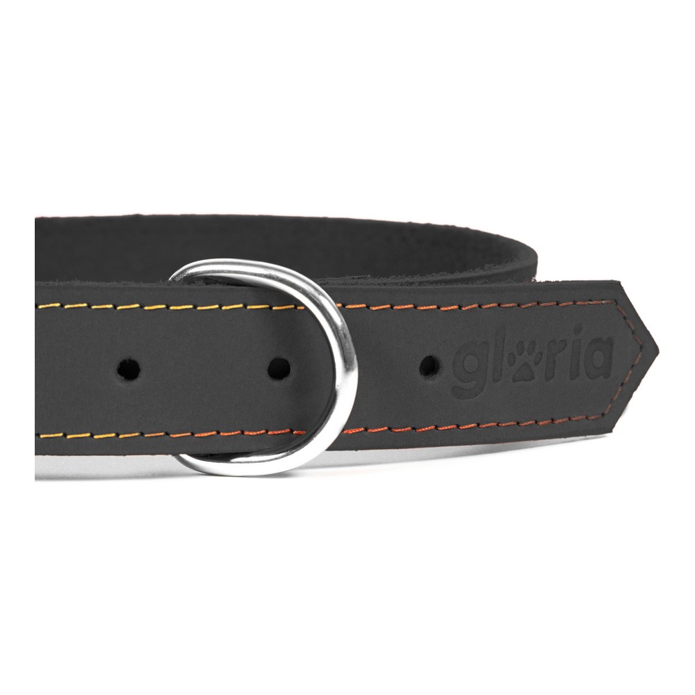 Hundhalsband Gloria Oasis Svart (1,5 x 40 cm) - 2