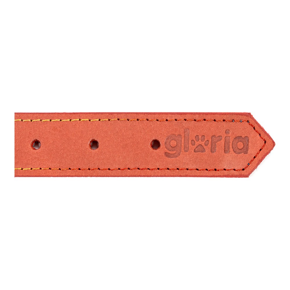Hundhalsband Gloria Oasis Röd (1,5 x 40 cm) - 2