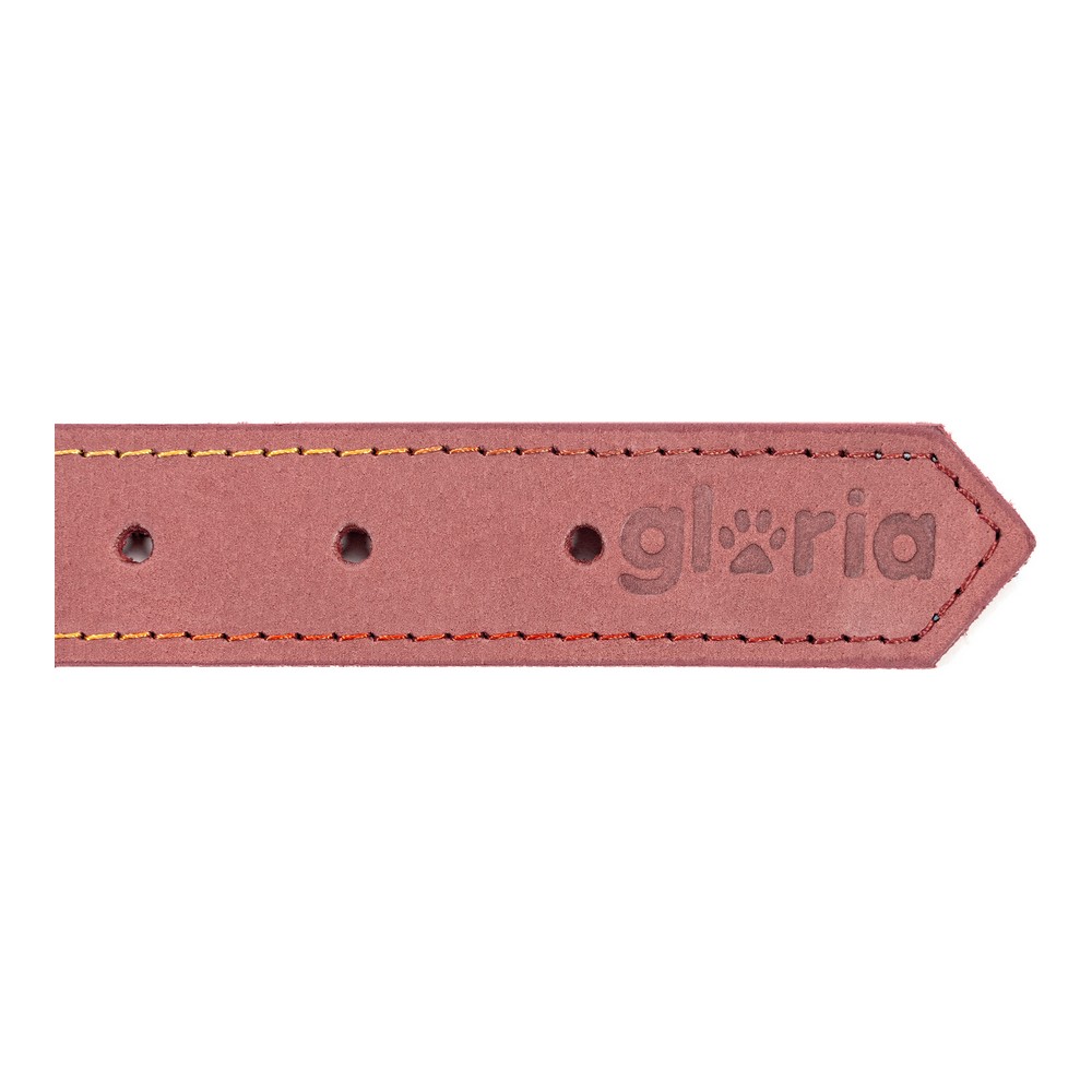 Hundhalsband Gloria Oasis Rosa (1,5 x 40 cm) - 2