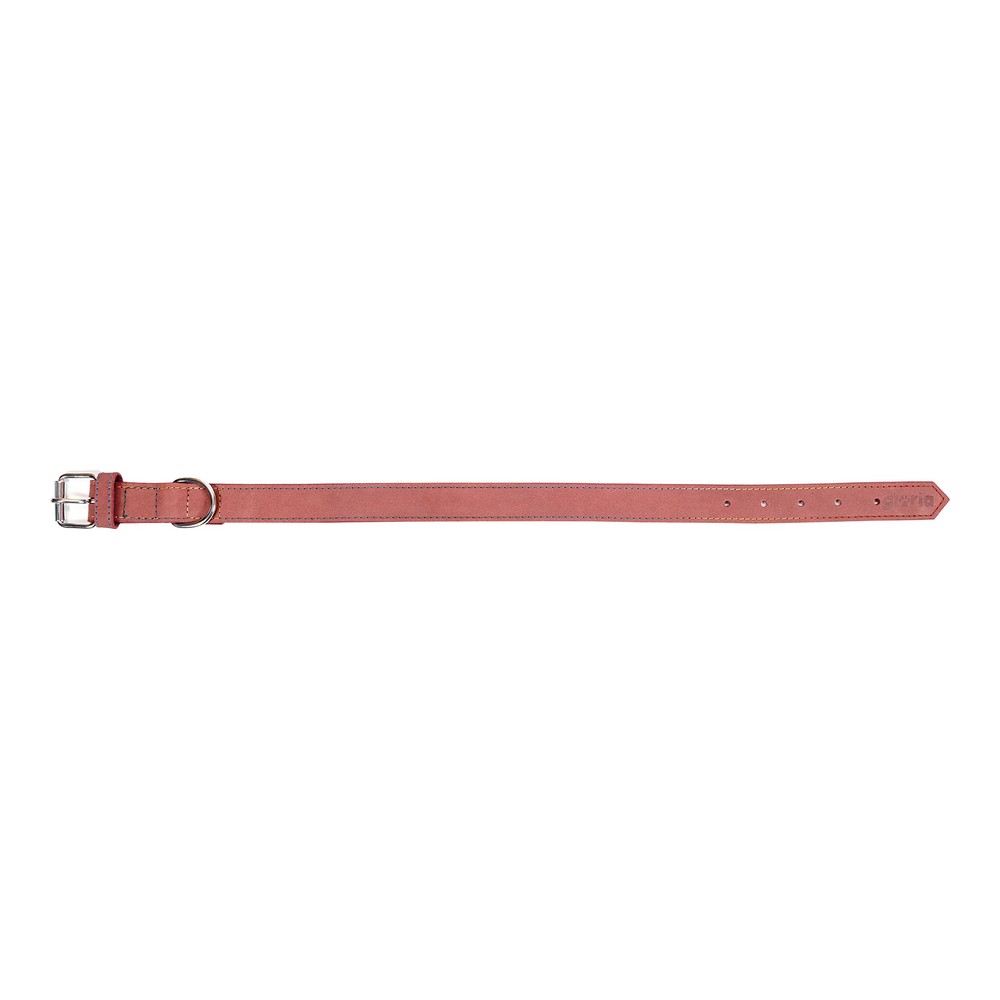 Hundhalsband Gloria Oasis Rosa (1,5 x 40 cm) - 5