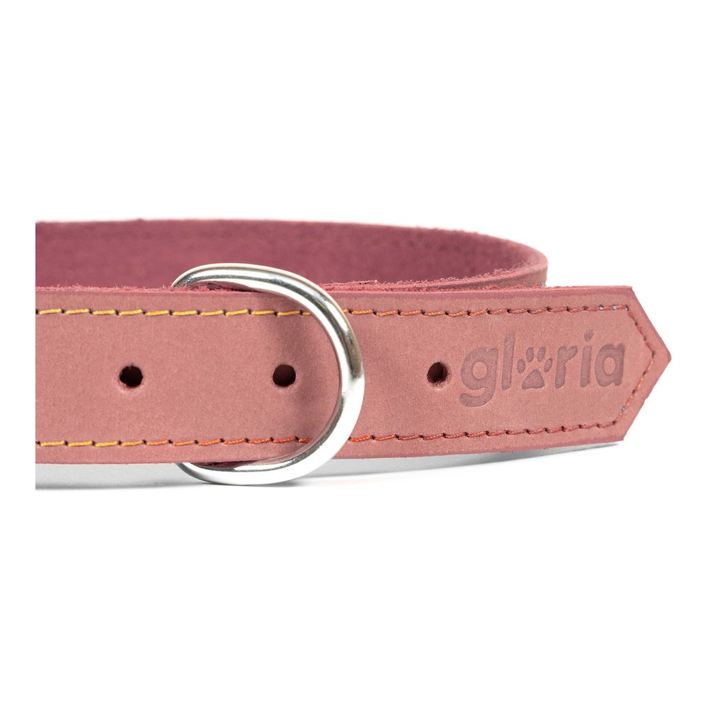 Hundhalsband Gloria Oasis Rosa (1,5 x 40 cm) - 3