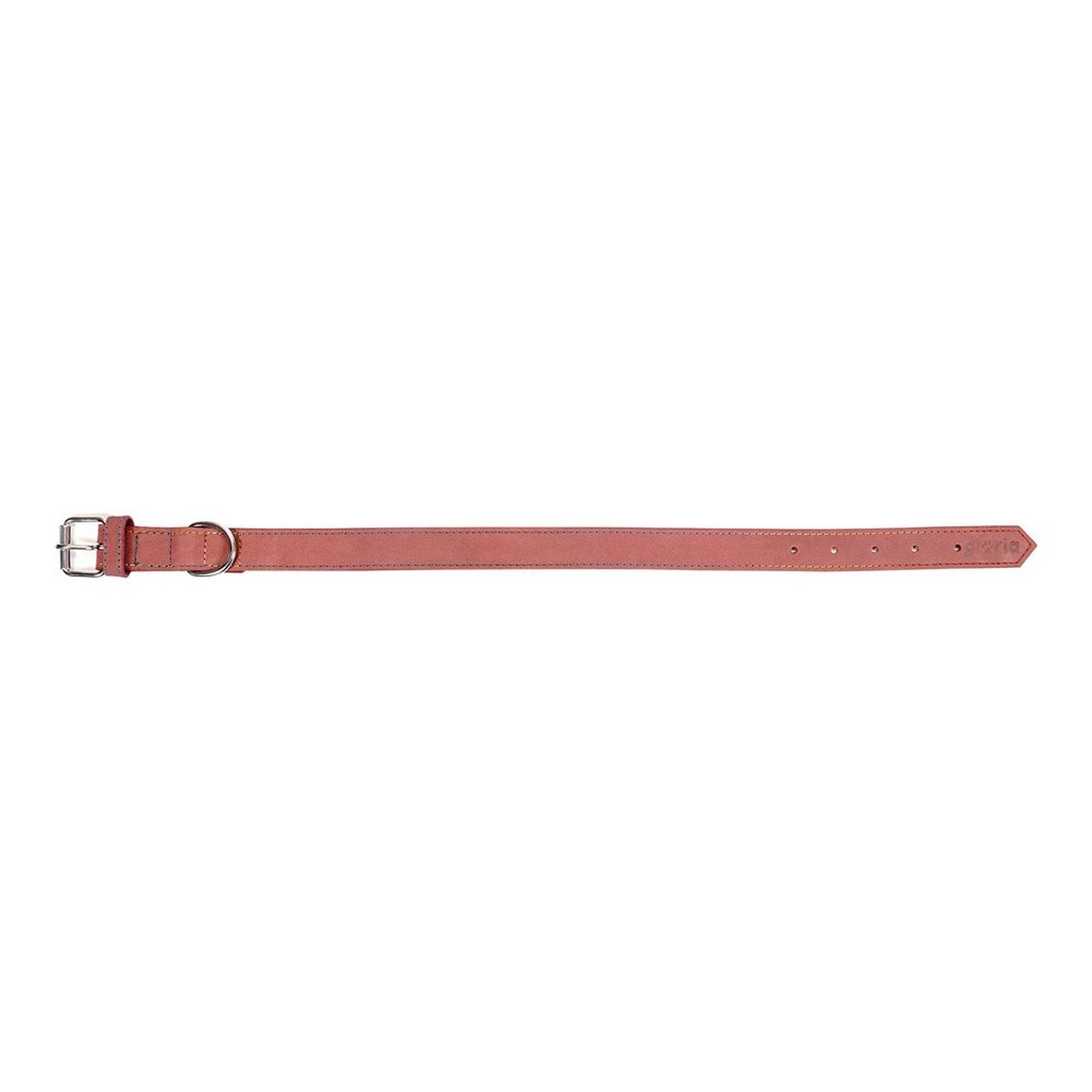 Hundhalsband Gloria Oasis Rosa (1,5 x 40 cm) - 11