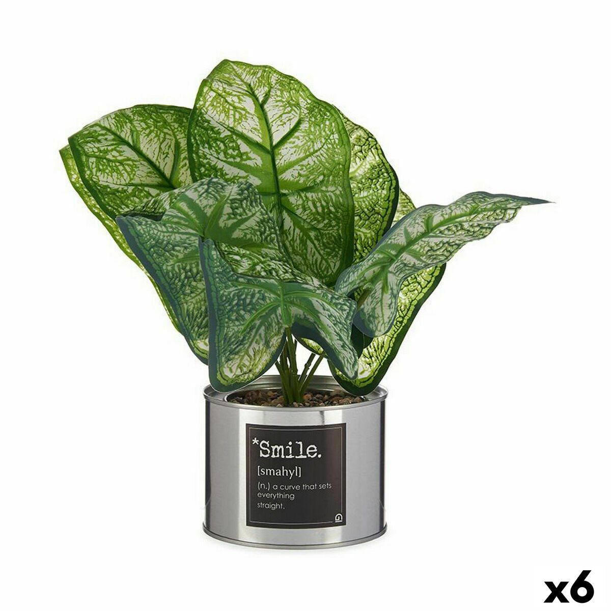 Dekorativ växt Ibergarden Metall Plast kaladium 26 x 26 x 26 cm (6 antal)