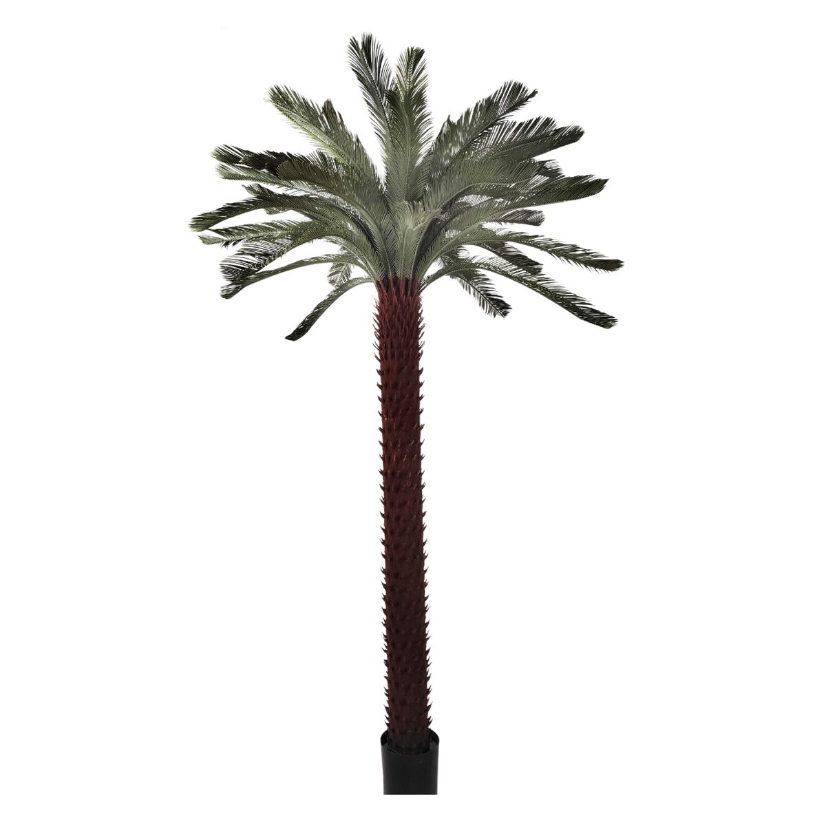 Dekorativ växt Home ESPRIT Polyetylen Palmträd