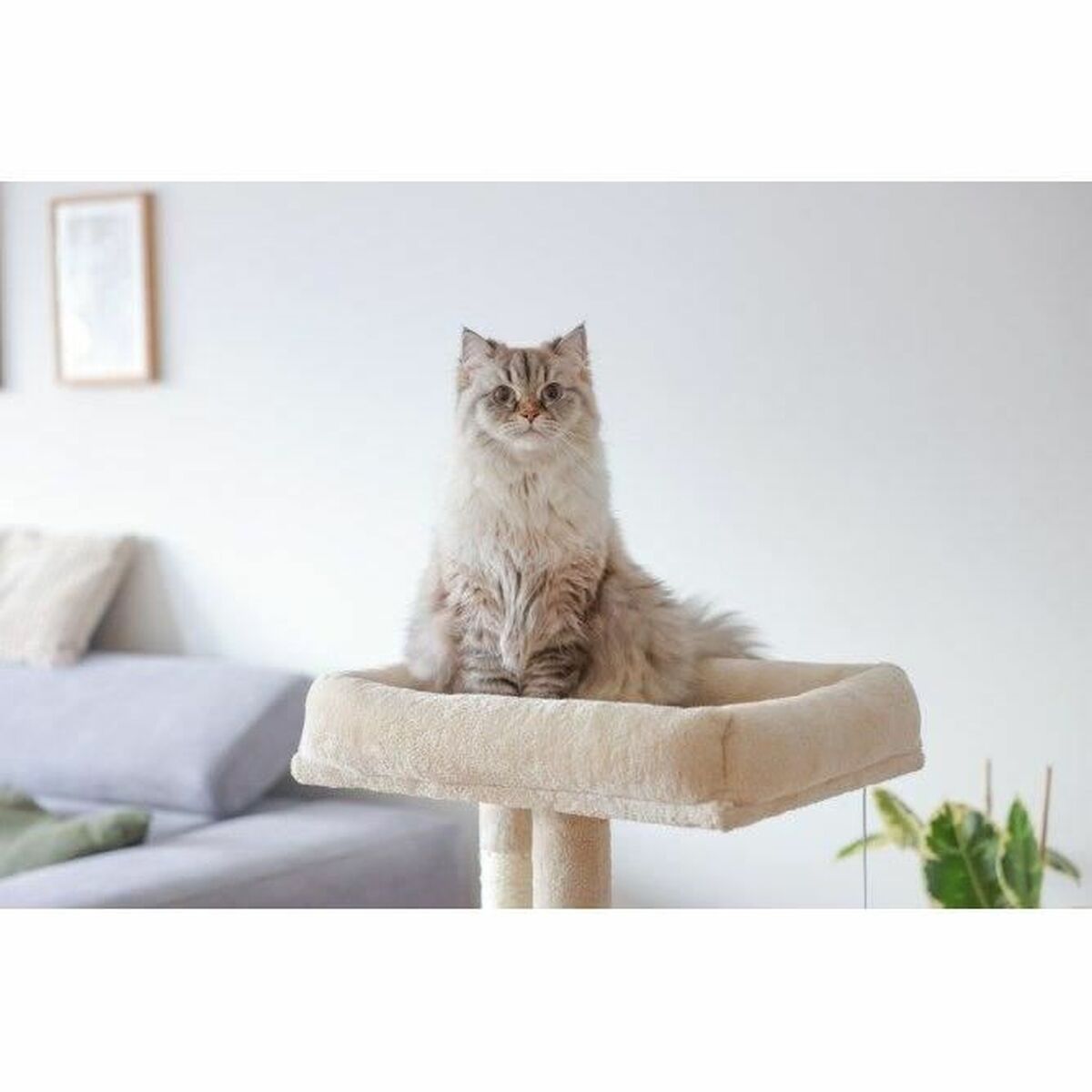 Klösträd för katter Kerbl Beige - 5