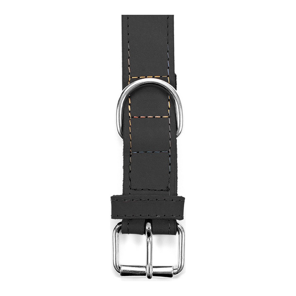 Hundhalsband Gloria Oasis Svart (45 x 1,8 cm) - 4