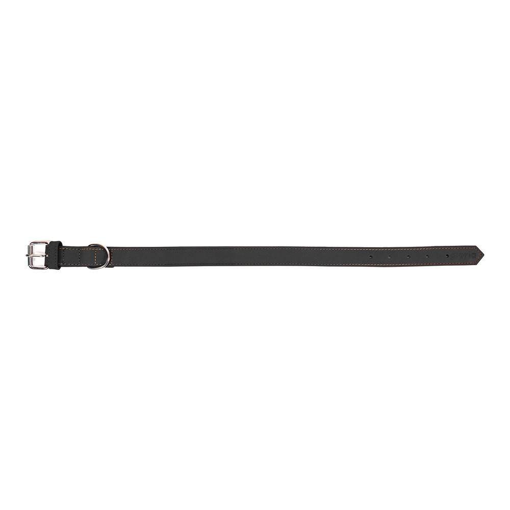 Hundhalsband Gloria Oasis Svart (45 x 1,8 cm) - 6