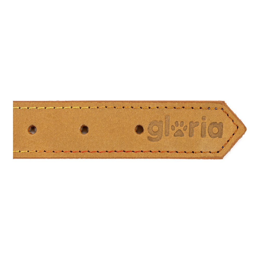 Hundhalsband Gloria Oasis Gul (50 x 2,1 cm) - 3