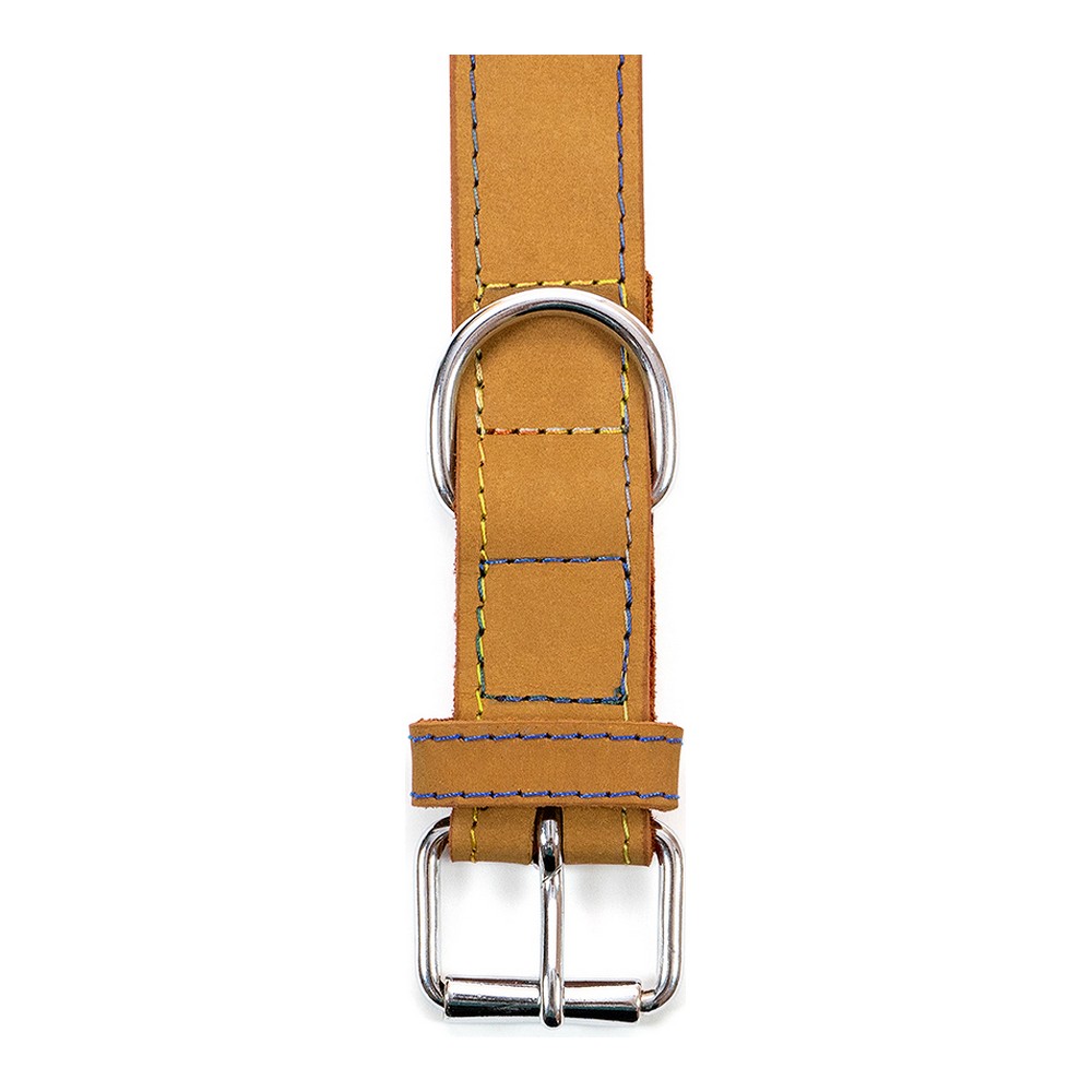 Hundhalsband Gloria Oasis Gul (50 x 2,1 cm) - 5