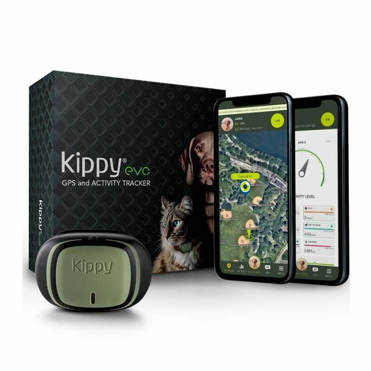 Anti-förlust lokaliserar KIPPY