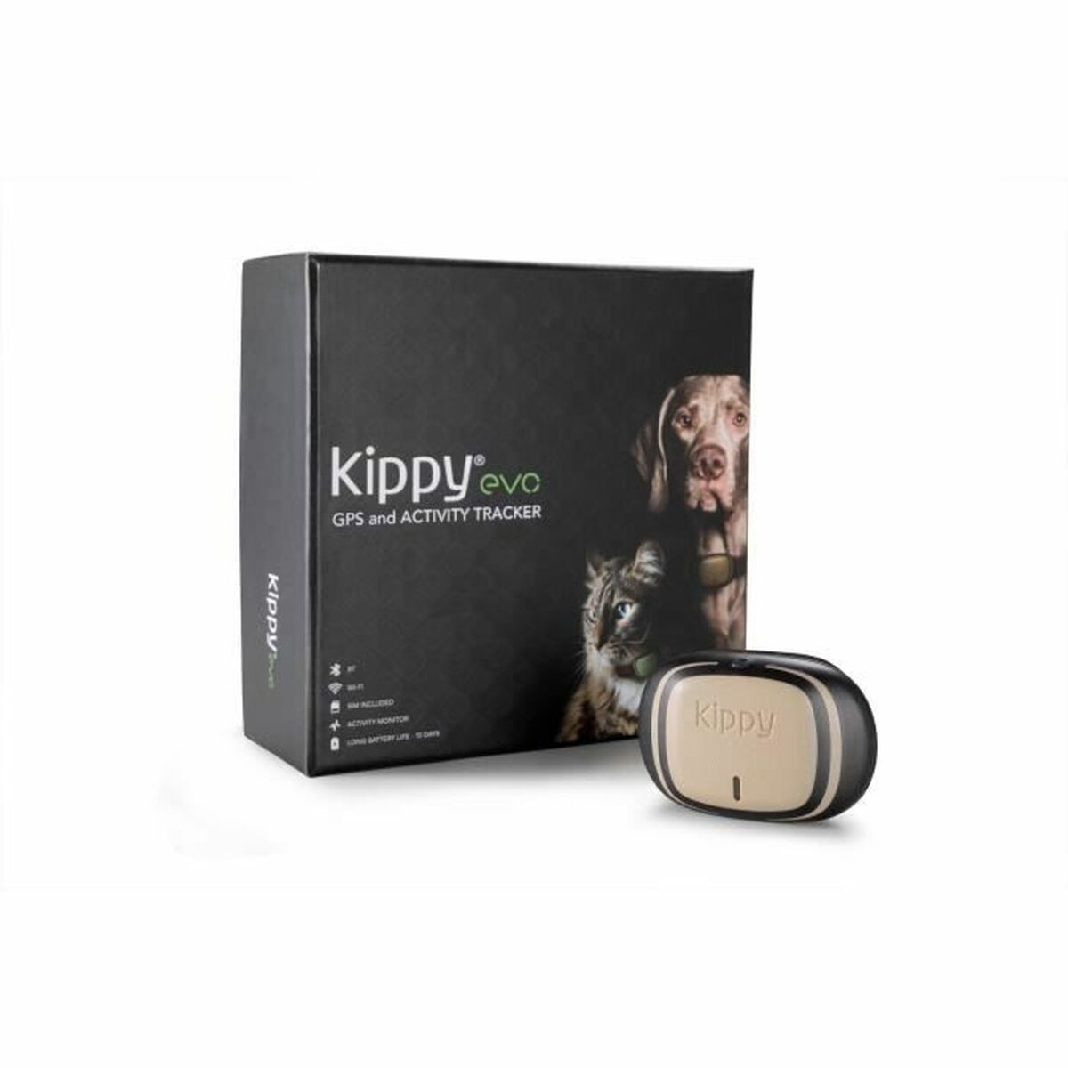 Anti-förlust lokaliserar KIPPY - 5