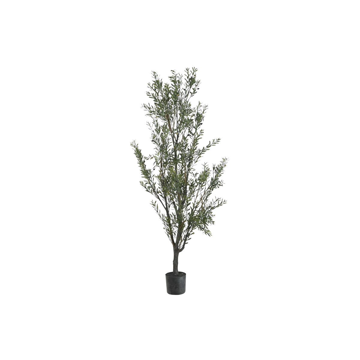 Träd Home ESPRIT Polyetylen Olivträd