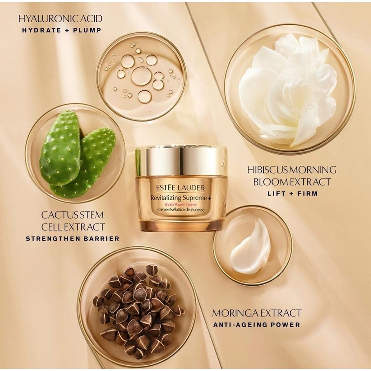 Kosmetikset Damer Estee Lauder RESILIENCE 4 Delar - 2
