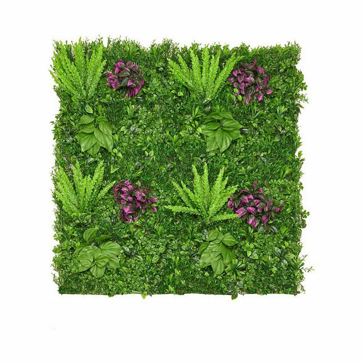 Vertikalt trädgårdskit Ormbunke Multicolour Plast 100 x 7 x 100 cm (12 antal) - 2