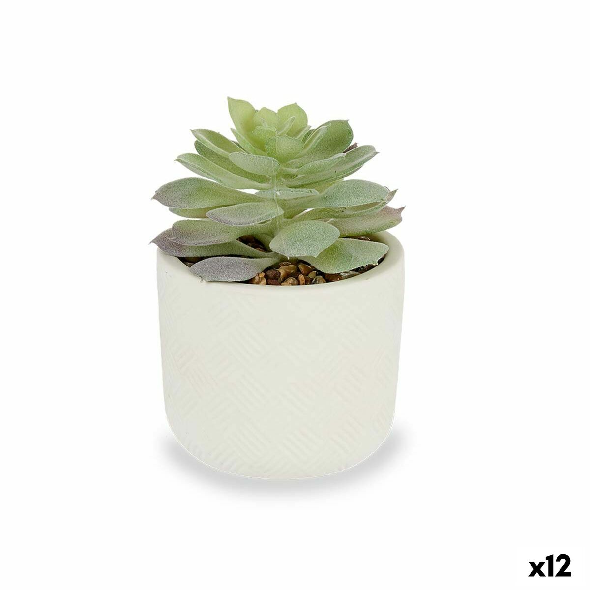 Dekorativ växt Ibergarden QY-H037 Plast Suckulent 14 x 13,5 x 14 cm (12 antal) - 4