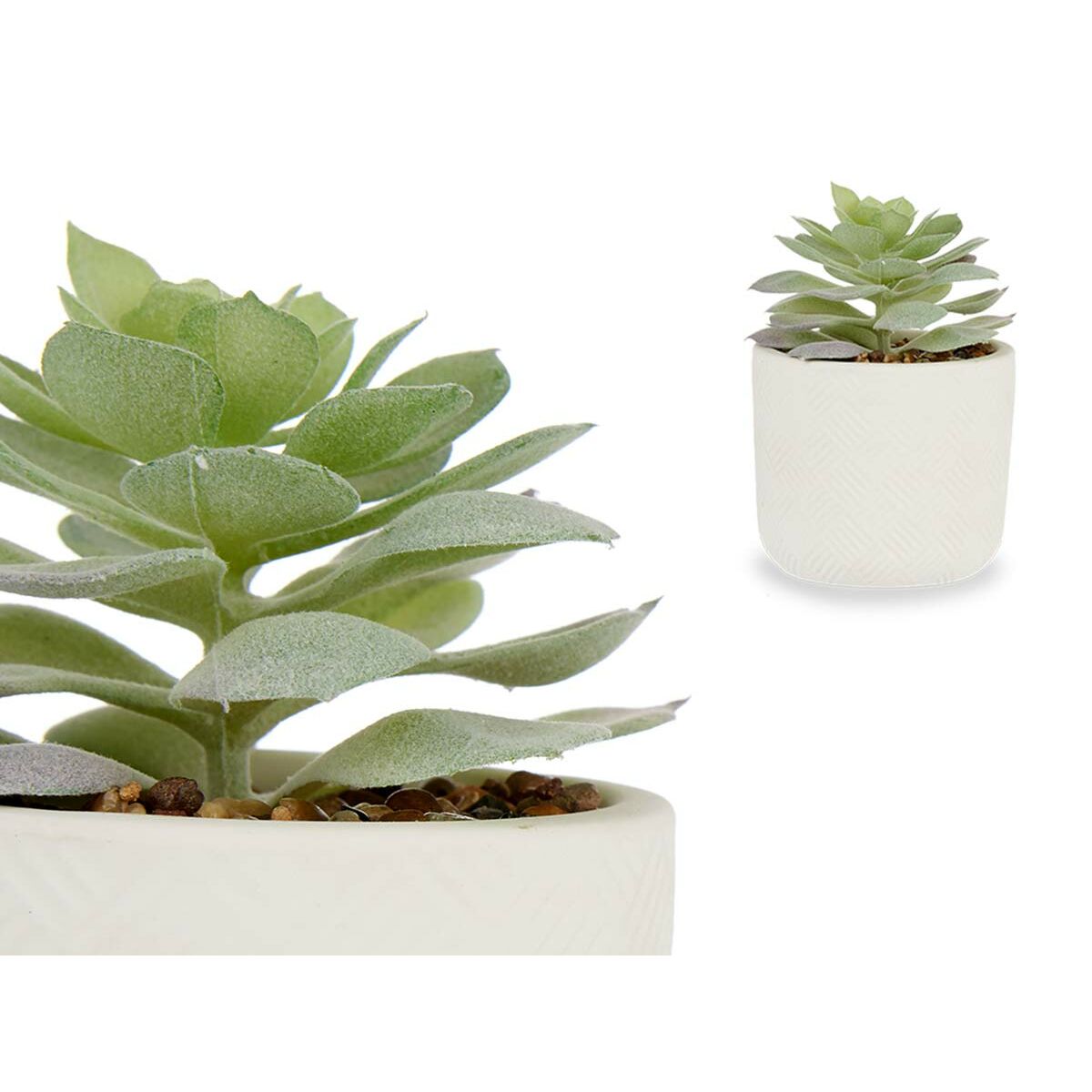 Dekorativ växt Ibergarden QY-H037 Plast Suckulent 14 x 13,5 x 14 cm (12 antal) - 2