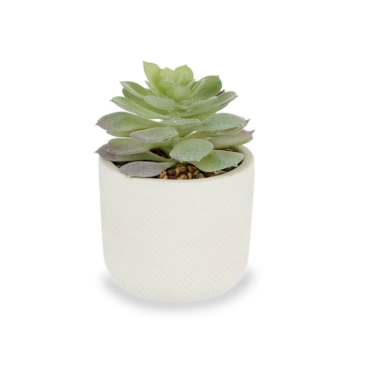 Dekorativ växt Ibergarden QY-H037 Plast Suckulent 14 x 13,5 x 14 cm (12 antal) - 3