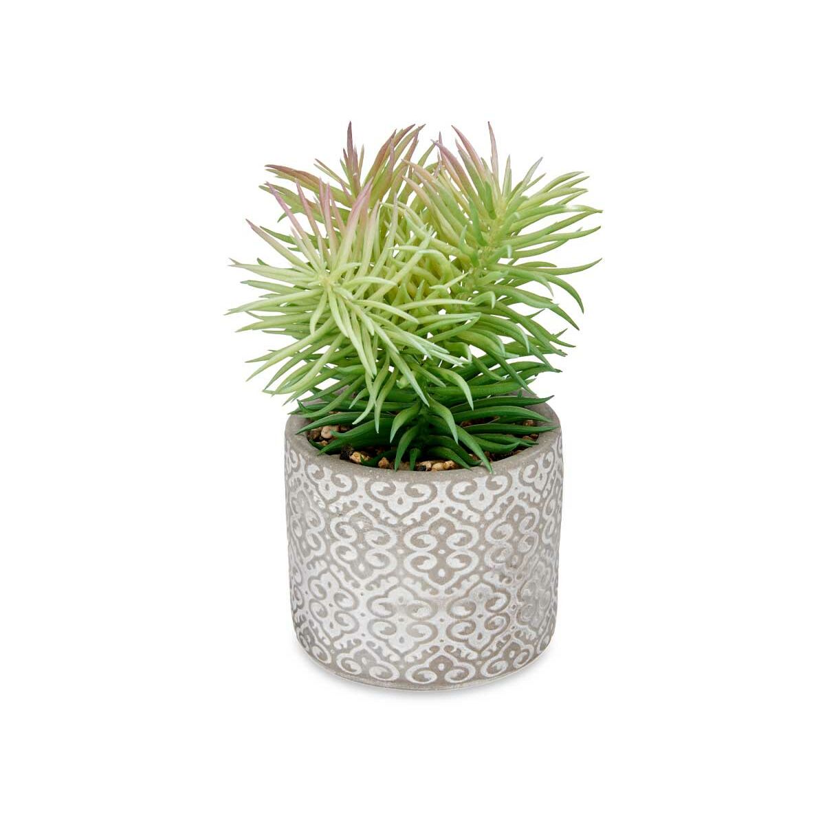 Dekorativ växt Ibergarden Trä Polyetylen Plast Cement Suckulent 12 x 22 x 12 cm (8 antal) - 3