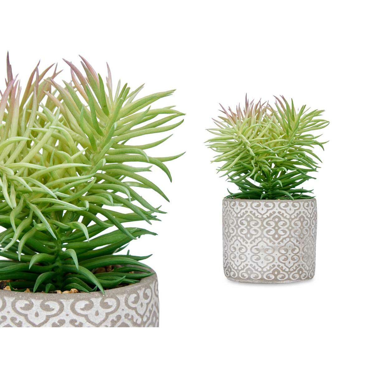 Dekorativ växt Ibergarden Trä Polyetylen Plast Cement Suckulent 12 x 22 x 12 cm (8 antal) - 2