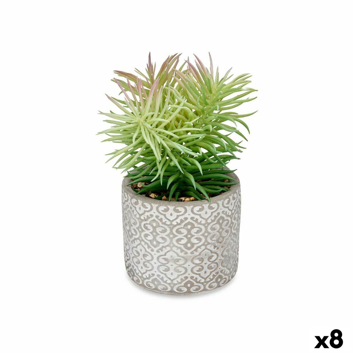 Dekorativ växt Ibergarden Trä Polyetylen Plast Cement Suckulent 12 x 22 x 12 cm (8 antal) - 4